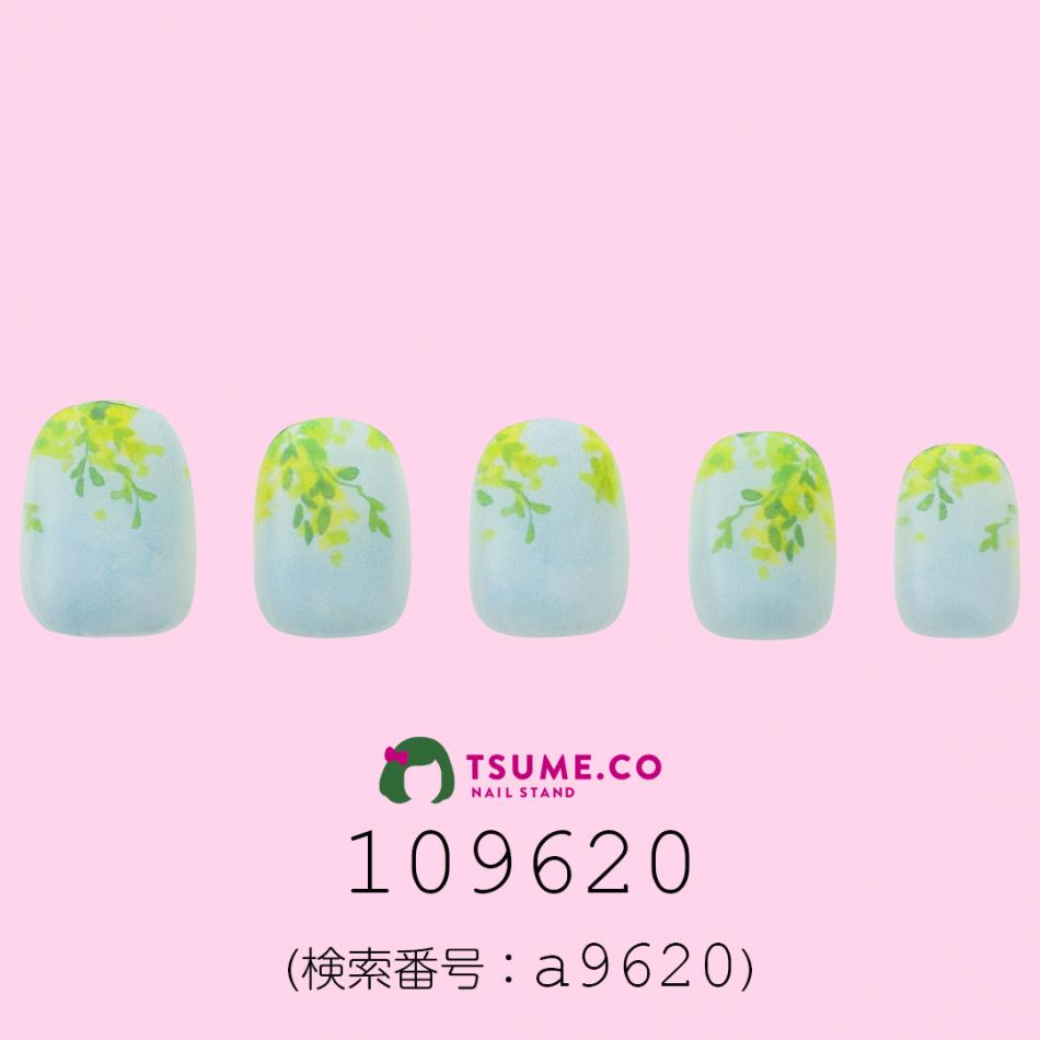 nail_2161